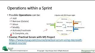 MANAGEMENT YOGI: MASTERING MS PROJECT AGILE: Agile on the Fly! Master real-time Sprint Operations(1)