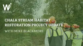 Chalk Stream Habitat Restoration Project Update with Mike Blackmore