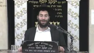 הרב משה יוסף • דיני אמירת עננו ונשיאת כפים בתעניות