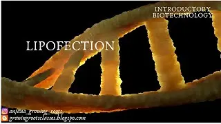 LIPOFECTION Malayalam | Gene transfer By Using Liposomes | Gene Transfer Techniques