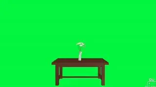 Green screen table and flower
