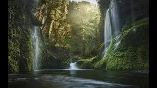 Tranquil River Stream Live | Soothing Water Sounds for Relaxation #naturesounds #relaxingsounds