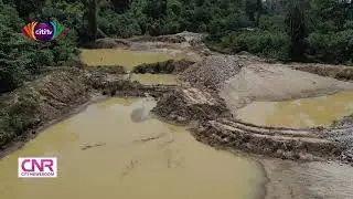Ghana, Turkey to exchange knowledge on afforestation methods | Citi Newsroom