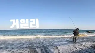 3/18  이것저것 다 나옵니다