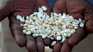 Bill Gates: GMOs Will End Starvation in Africa