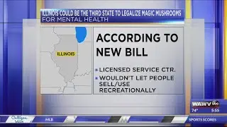 Illinois could be the third state to legalize magic mushrooms for mental health