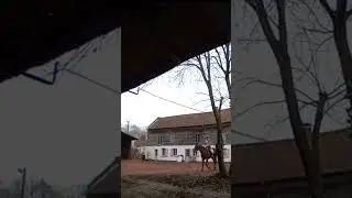 Nadal 5 f&eacute;vrier 2025 contre galop.  Changement de pied