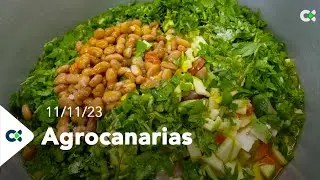 Agrocanarias Tv | ep.39 - 11/11/23