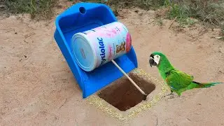 New Creative Hole Parrot Bird Trap make with Milk Cans and Blue Plastic