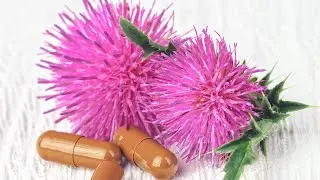 Milk Thistle | 8 Proven Health Benefits of Milk Thistle