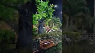 View in the Akkalkot Garden 🏡