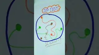 IQ Test.#ytshorts #viral #drawing #triending