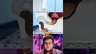 Как прочистить унитаз🚽