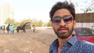 Horse Dancing 🦄🎠on Dhol Beats !!