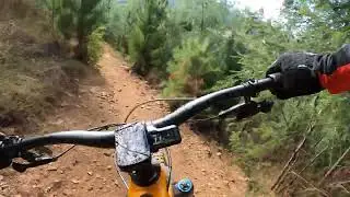 Mystic DH Bright