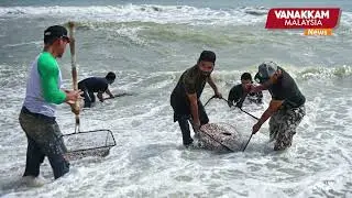 Bacterial levels in cockles at Pantai Sura exceed safety limits