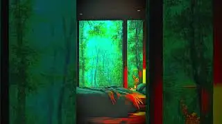 Luxury Room Rain & Thunder Shorts Video | Best Rain & Thunder | Luxury Room Rain Shorts Video 2025