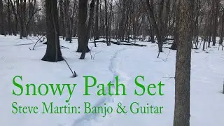 Snowy Path & Music From A Found Harmonium - Steve Martin on banjo & guitar