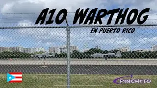 LOS A10 LLEGAN A PUERTO RICO ! | SJU PLANESPOTTING