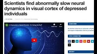 The Slow Brain: How Depression Alters Visual Processing