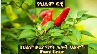 በህልም ቃሪያ ማየት ሌሎች ህልሞች Part Four