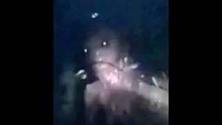 The Varginha Alien Footage From Brazil!!