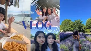 NZ HAMILTON VLOG. Quick trip to Hamilton (& Raglan)! 🚗 (뉴질랜드 해밀턴 브이로그)