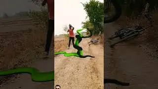 #snake #story #vfx #viralvideo #vpx #shortsviral #ytshorts #video