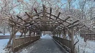 Central Park Winter Walk ❄️ Snow Covered Morning (Relaxing) 中央公园冬季漫步 ❄️ 雪后清晨（令人放松）