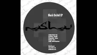 Nasha Experience - 808 (NR010)