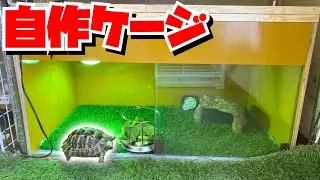 超簡単！初心者にもできるリクガメ飼育セッティング！【乾燥編】