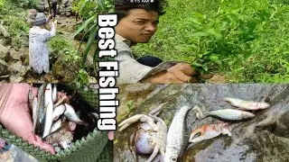 Easiest Traditional Method of Fishing|| Fishing with Poisonous Plant|| #fishing