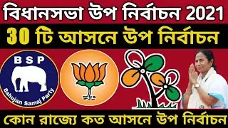 Assembly bypoll election 2021 date