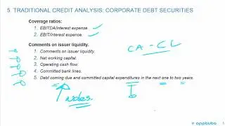 calculate and interpret financial ratios used in credit analysis;