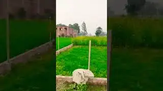 milane ki Tum koshish Karna Vada kabhi n karna#song #sorts video #vairal video