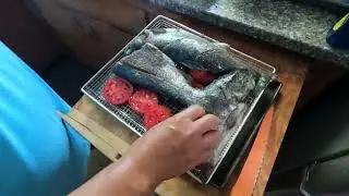 Cooking fish in the solar oven