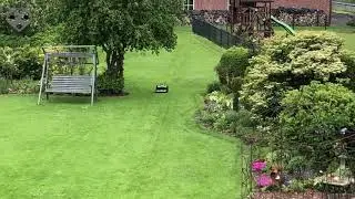 RTK Mower, mowing without wire