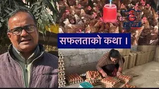 सफल व्यवसायी बाबुराम गिरीको सफलताको कथा आजको कृषिमा ,  BISHAL AGRO PRIVATE LIMITED SUKLAGANDAKI 