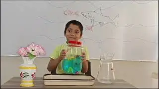 Ocean in bottle #shorts #shortvideo #youtubeshorts #video