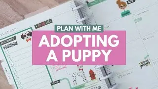 PLAN WITH ME DOGS & PETS - HAPPY PLANNER DASHBOARD LAYOUT