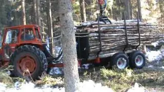 Volvo BM metsässä - 12/12
