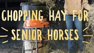 Как рубить сено для пожилых лошадей 🐎