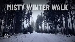 Misty Winter Walk | Bohemian Forest Winter Walk | Nature Sounds | 4K Ultra HD
