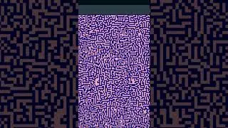 Labirynt  - Automat  gra w życie #coding #pixelart #symulacja   #programming #gaming, #automation