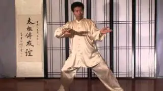 Jesse Tsao Tai Chi Fajin  Practice - Power Striking