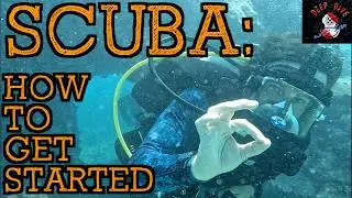 Complete Beginner's Guide to Getting into Scuba Diving