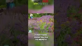 The Darwin Perennials garden has become a spotlight for varieties