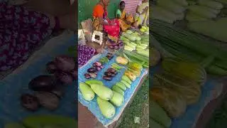 Goa village # vegetable market #konkani ranmanus #