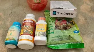 Organic fertilizer shopping