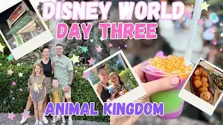 WALT DISNEY WORLD DAY 4. ANIMAL KINGDOM. SEBASTIAN'S BISTRO. FAMILY VLOG.